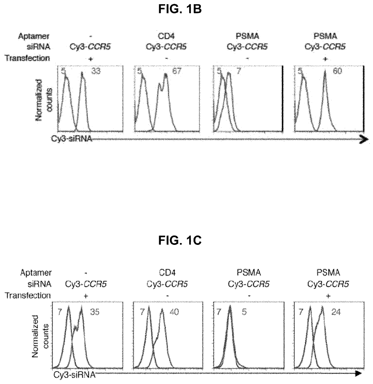 Composition and method for oligonucleotide delivery