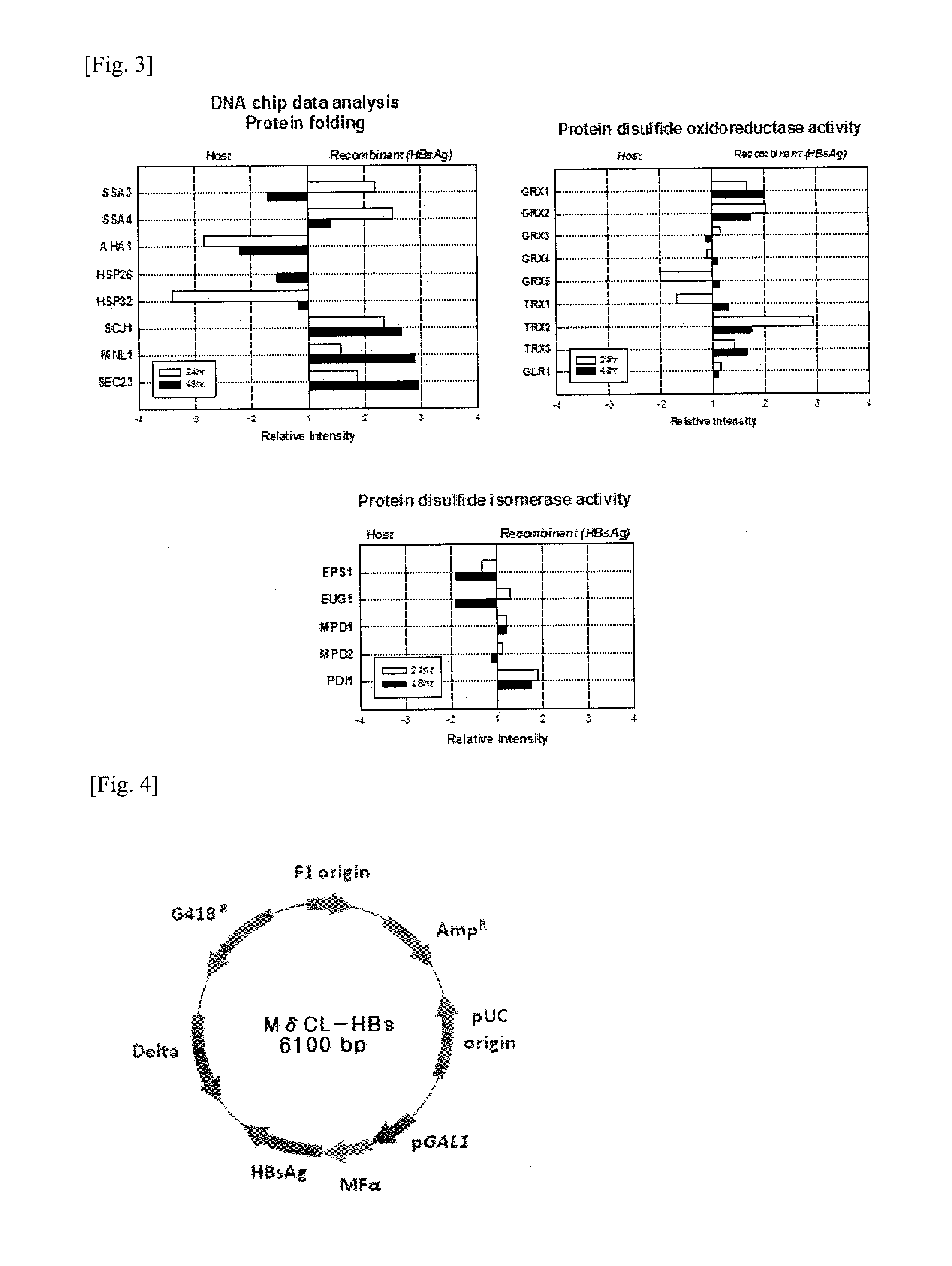 Method for a production of a recombinant protein using yeast co-expression system