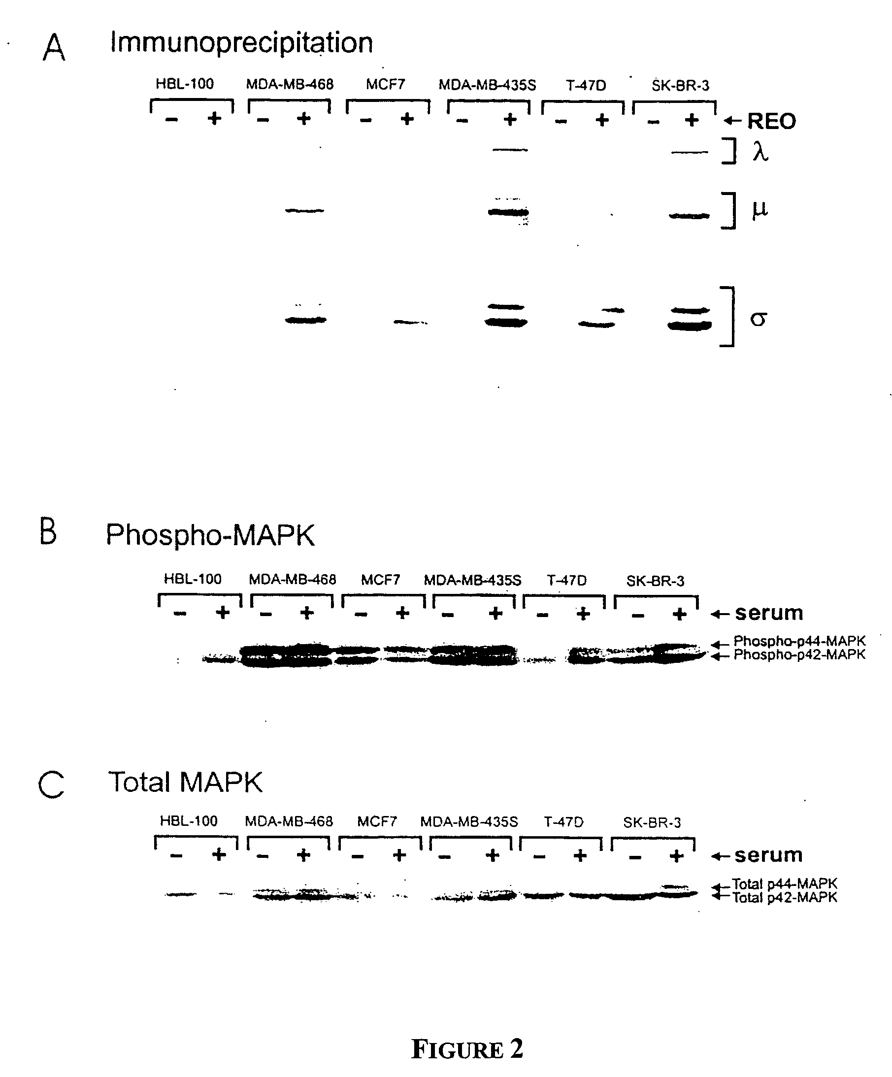 Methods for the treatment of cellular proliferative disorders