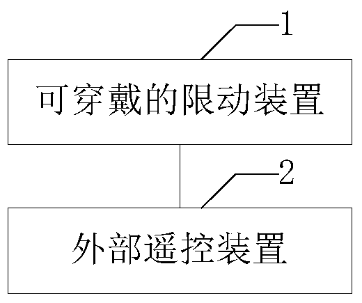 A system for restricting bodily movement