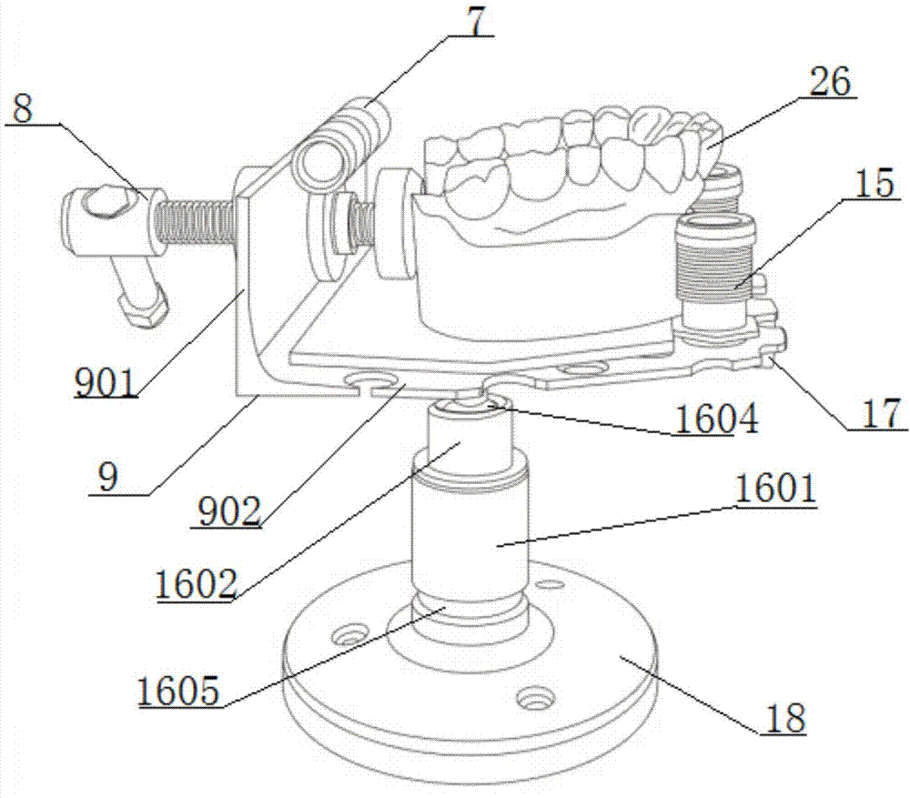Apparatus for measuring inclination of tooth cusp
