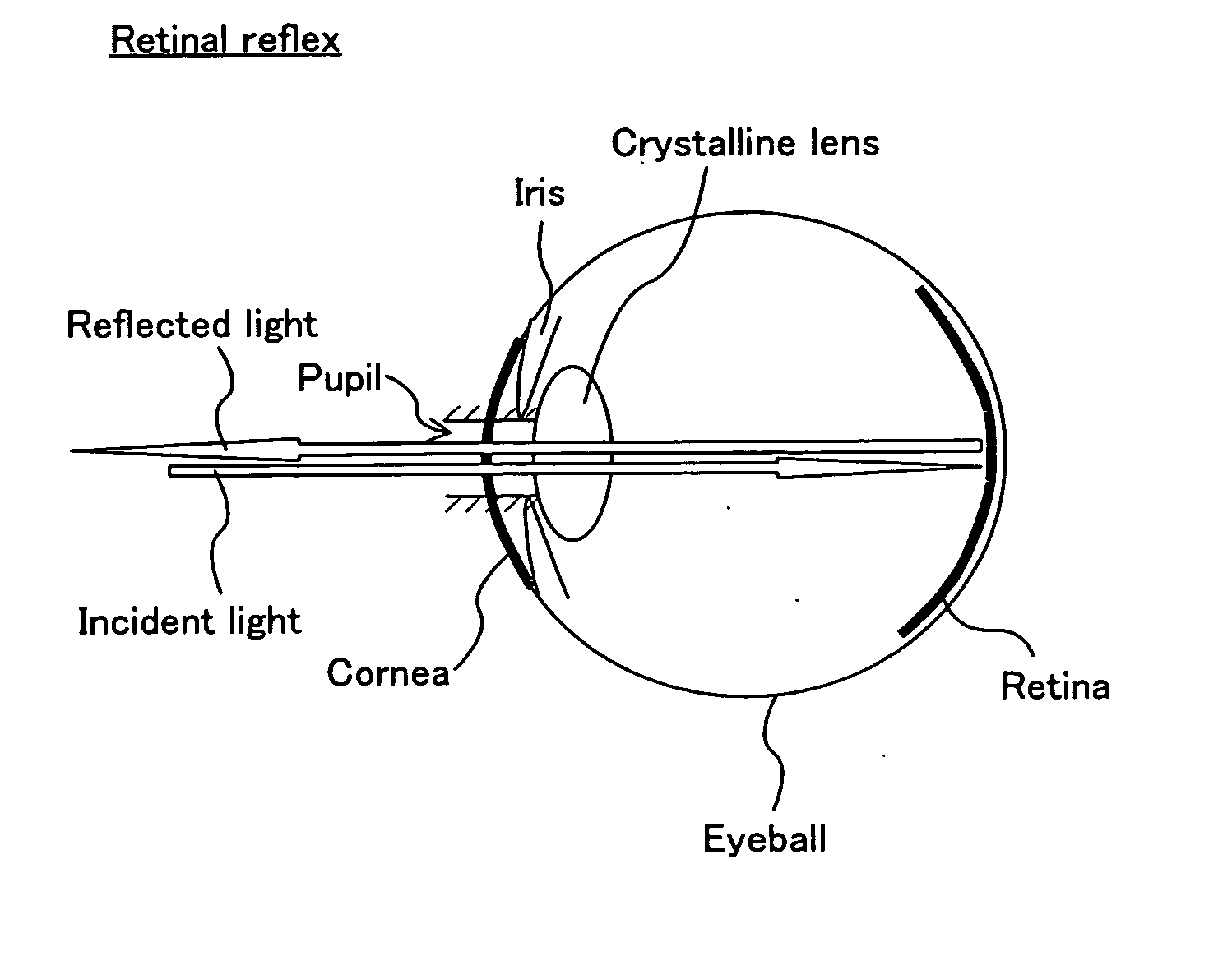 Organism eye judgment method and organism eye judgment device