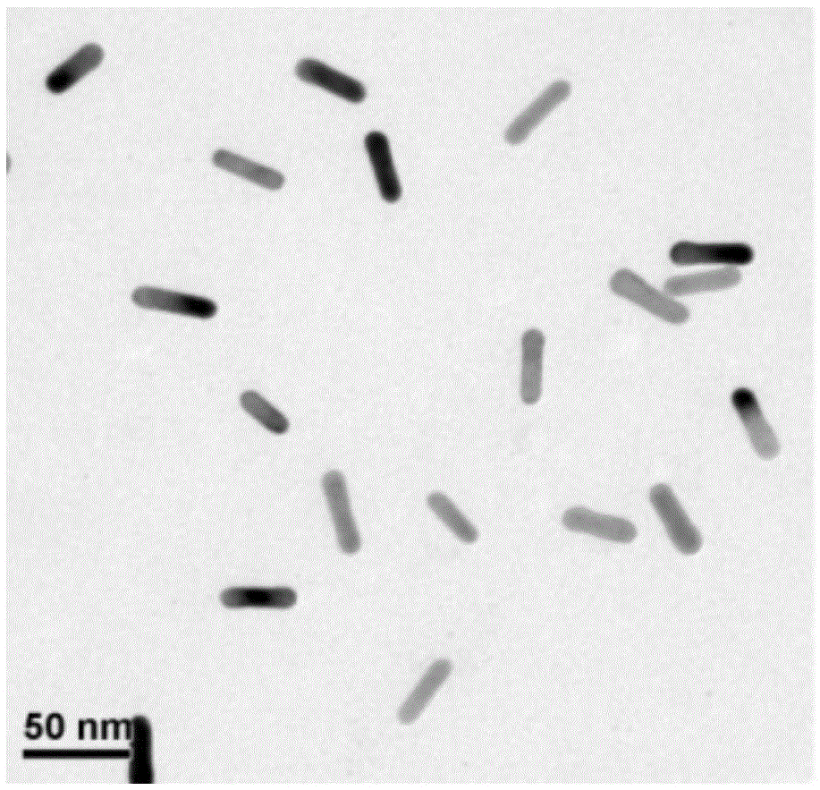 A kind of preparation method of surface-enhanced Raman substrate