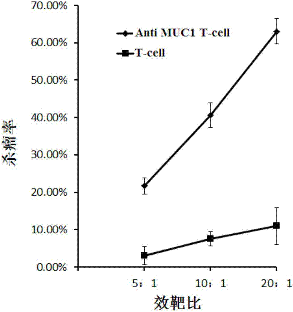 Anti-MUC1 CAR-T cell and its preparation method and application