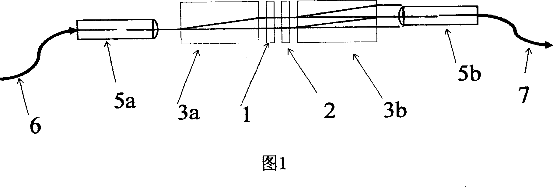 Fiber magnetic optical probe device and its usage system