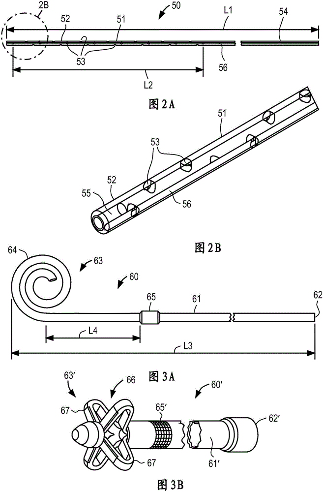 Apparatus and methods for noninvasive monitoring of cancerous cells