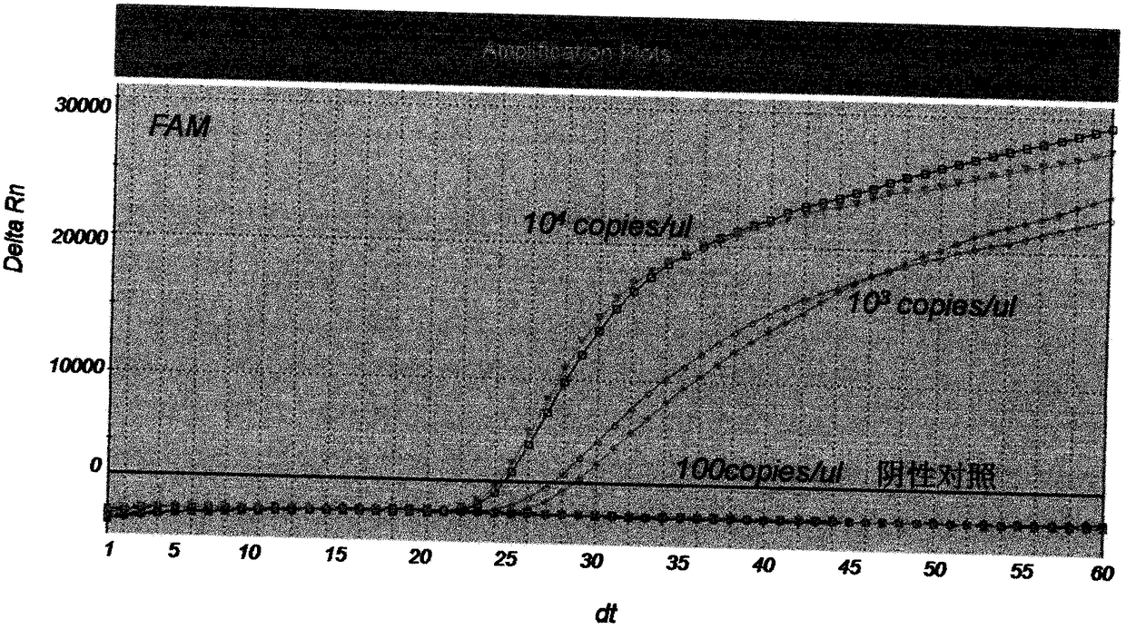 Classical swine fever virus (CSFV) real-time fluorescent nucleic acid isothermal amplification detecting kit