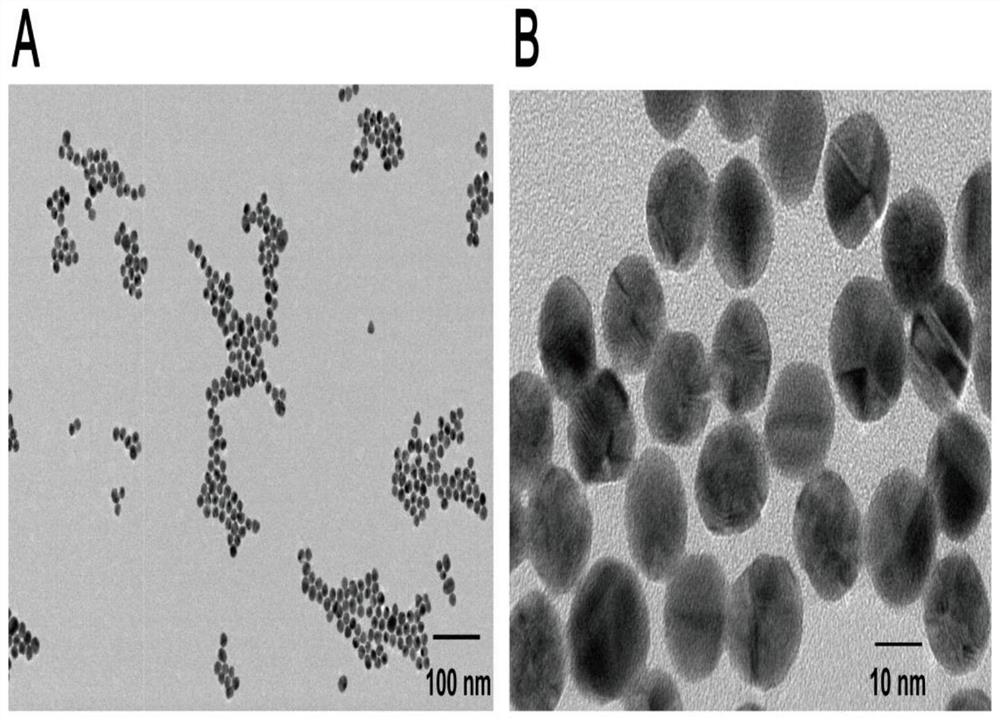 Quantitative method and application for detection of protein drugs in vivo based on the specific separation-amplification lc-ms of tagged small molecules