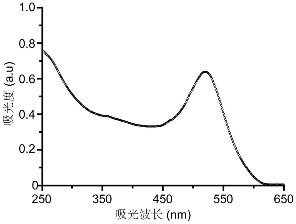 Quantitative method and application for detection of protein drugs in vivo based on the specific separation-amplification lc-ms of tagged small molecules