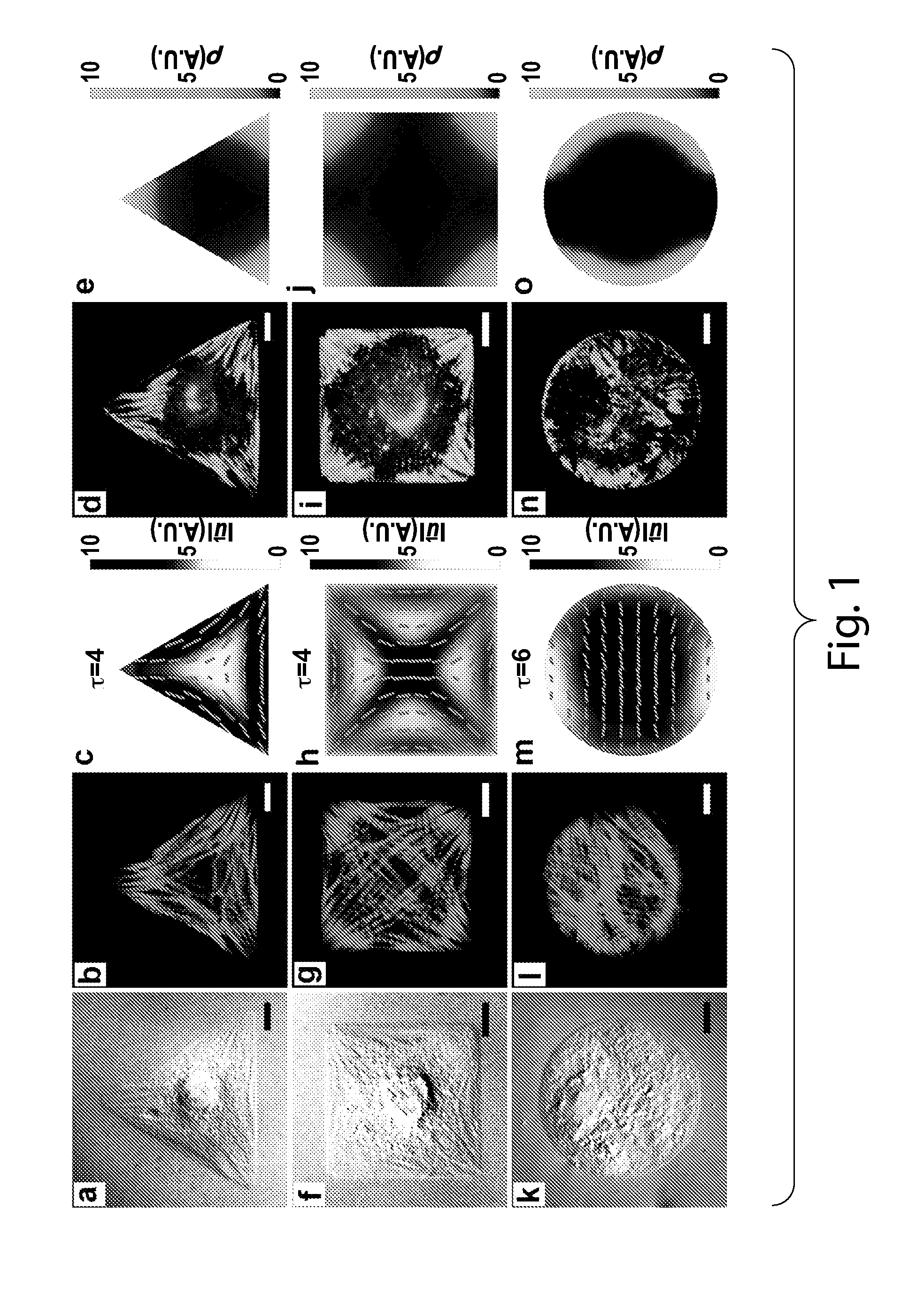 Methods of generating patterned soft substrates and uses thereof