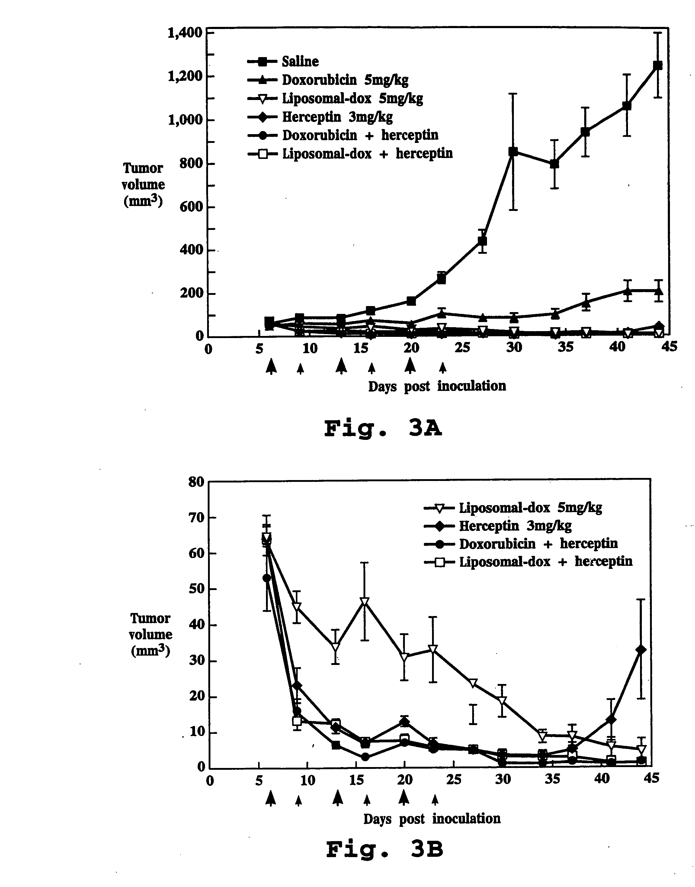 Method for potentiating activity of a chemotherapeutic drug