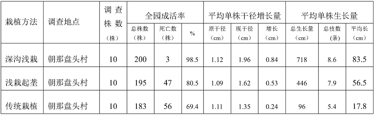 Dwarf interstock apple tree deep-pit shallow-planting method in dry land