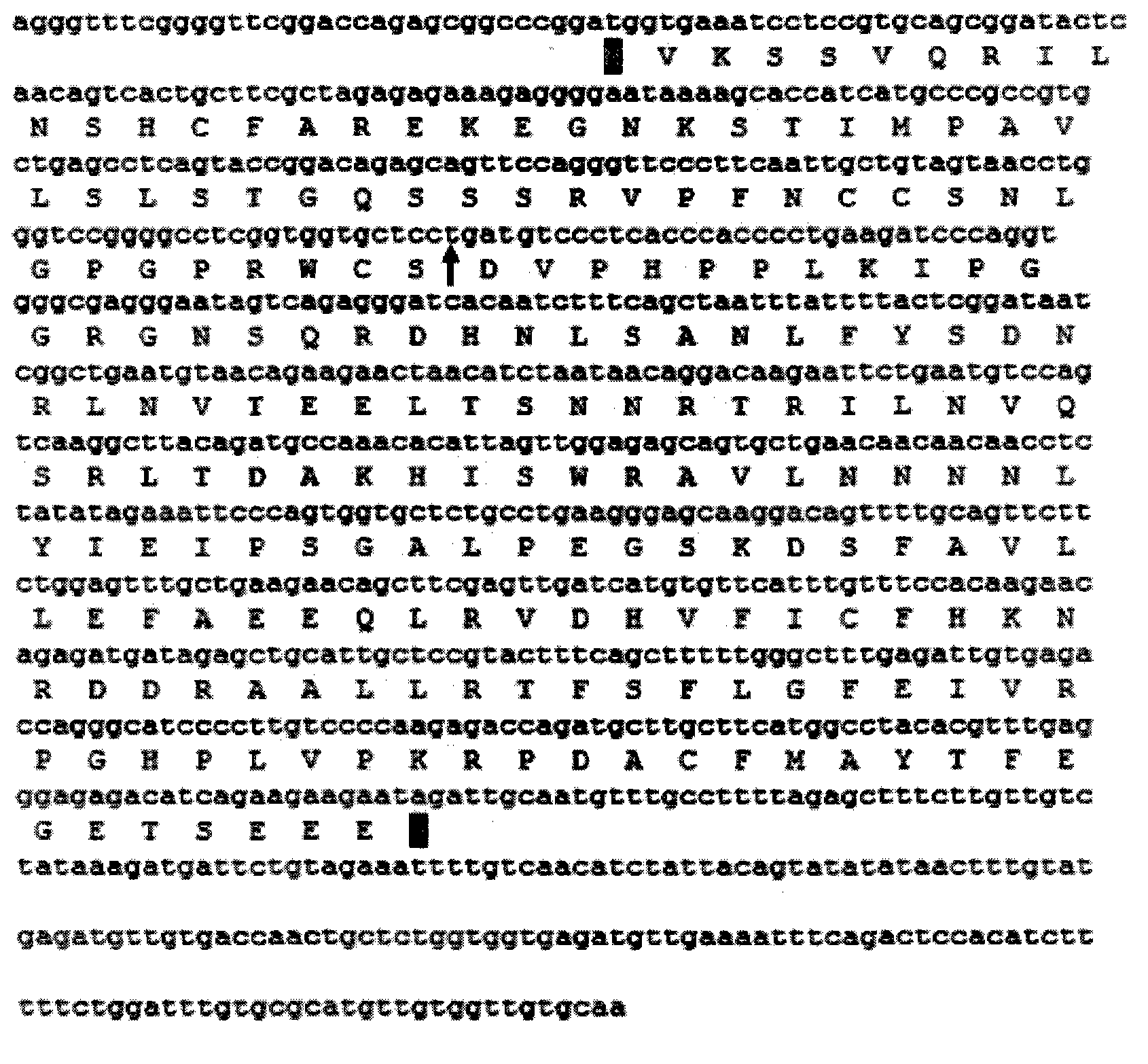 Method for acquiring goose OAZ1 gene full length CDS sequence and detecting expression rule thereof quickly