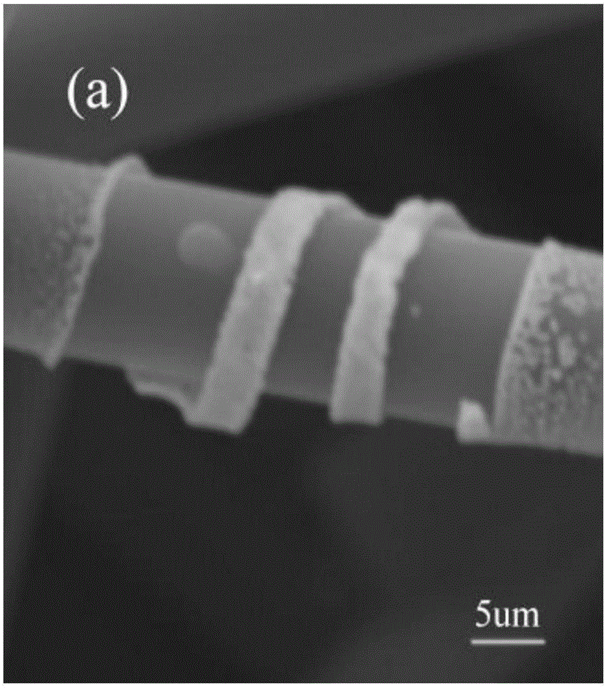 Method using sol-gel method to synthesize spiral ZrC whiskers in in-situ manner