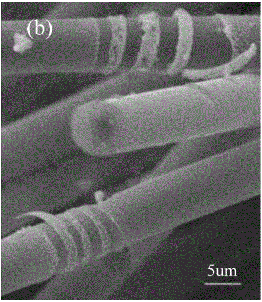 Method using sol-gel method to synthesize spiral ZrC whiskers in in-situ manner