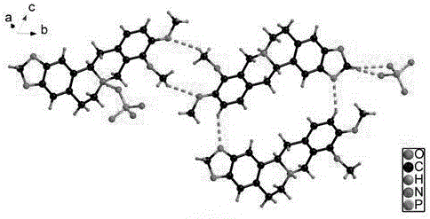 Phosphate tetrahydroberberine drug eutectic and preparation method thereof
