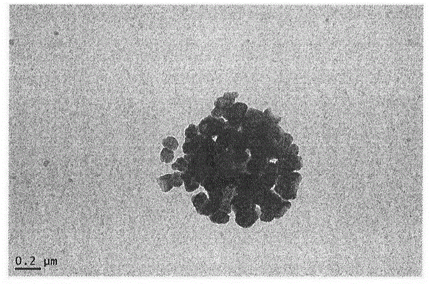 LDV modified 1-acetyl-beta-carboline acyl-tryptophan as well as preparation method, nanostructure, activities and applications thereof