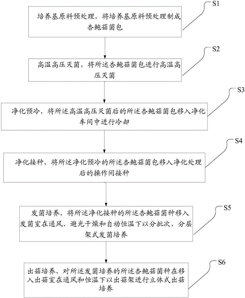 Pleurotus eryngii cultivation method