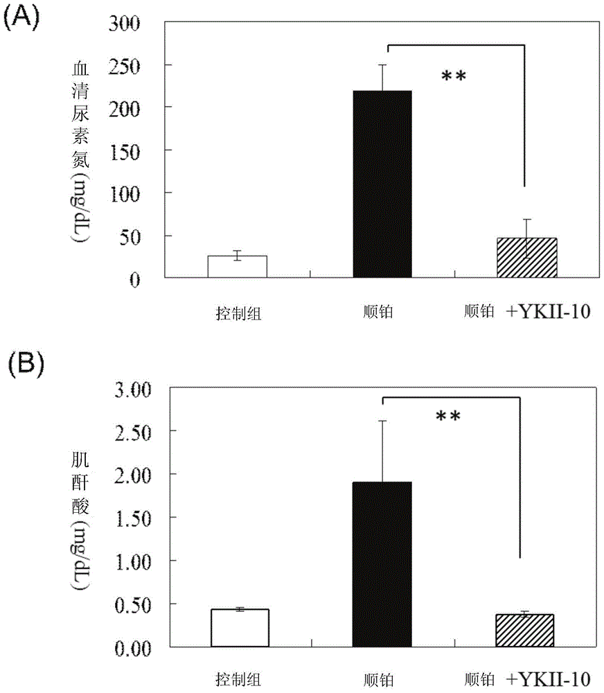 Novel triterpenes and uses thereof