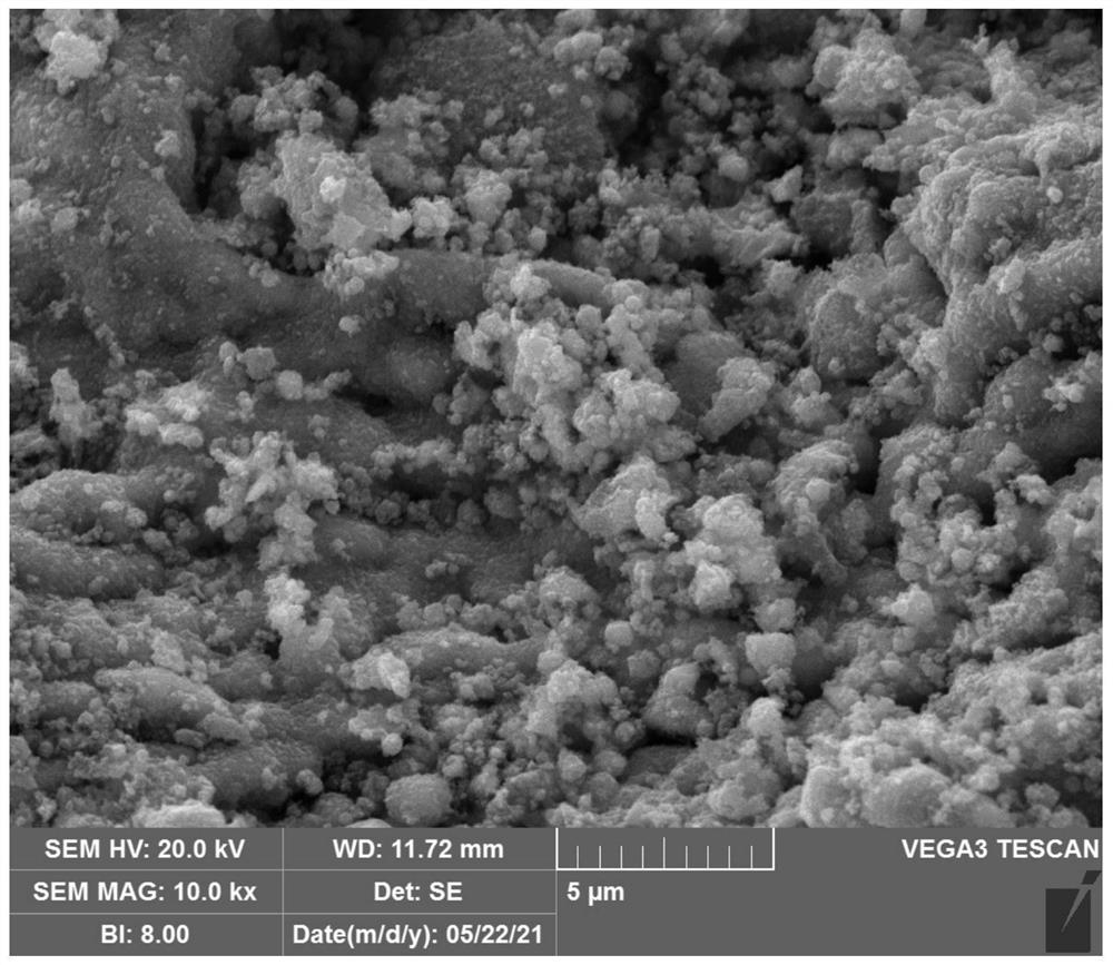 Ferroferric oxide/biomass porous carbon composite wave-absorbing material and preparation method thereof