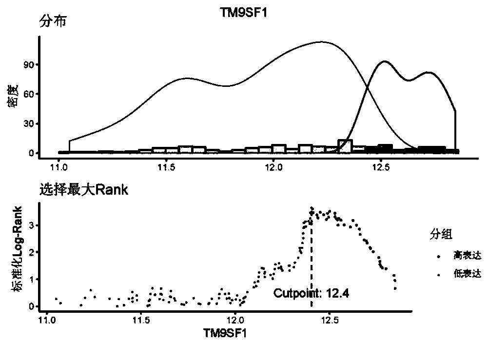 Prognosis early warning system for esophageal squamous cell carcinoma, and applications thereof