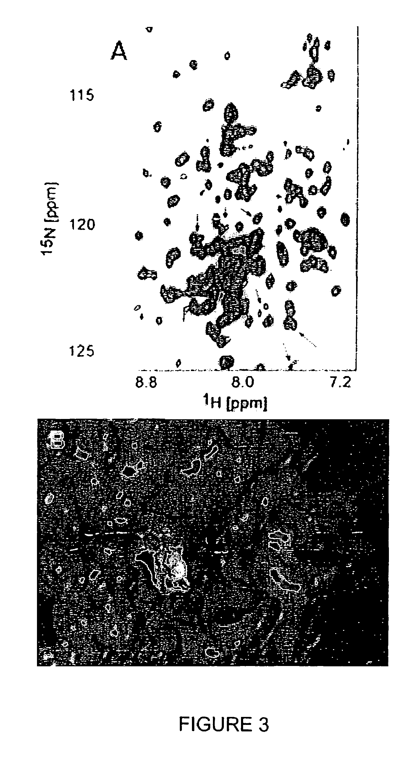 Inhibition of bid-induced cell-death using small organic molecules