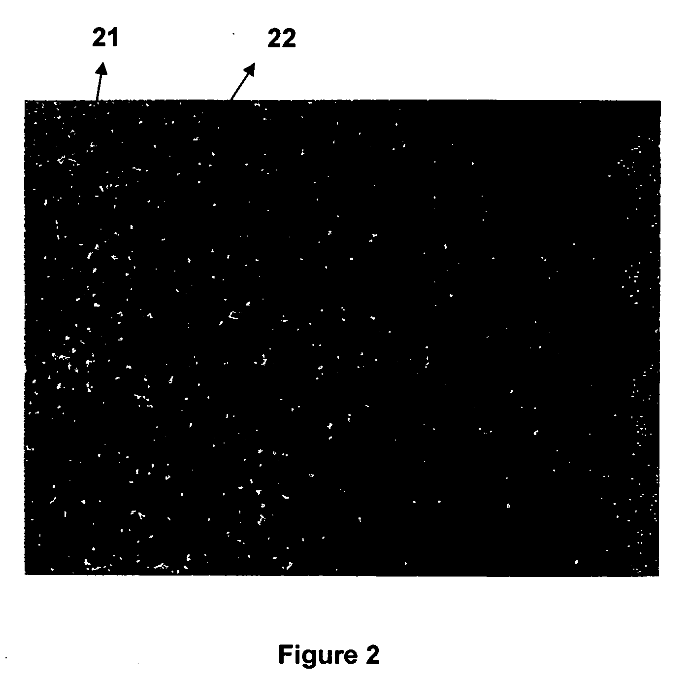 Biocompatible cemented carbide articles and methods of making the same