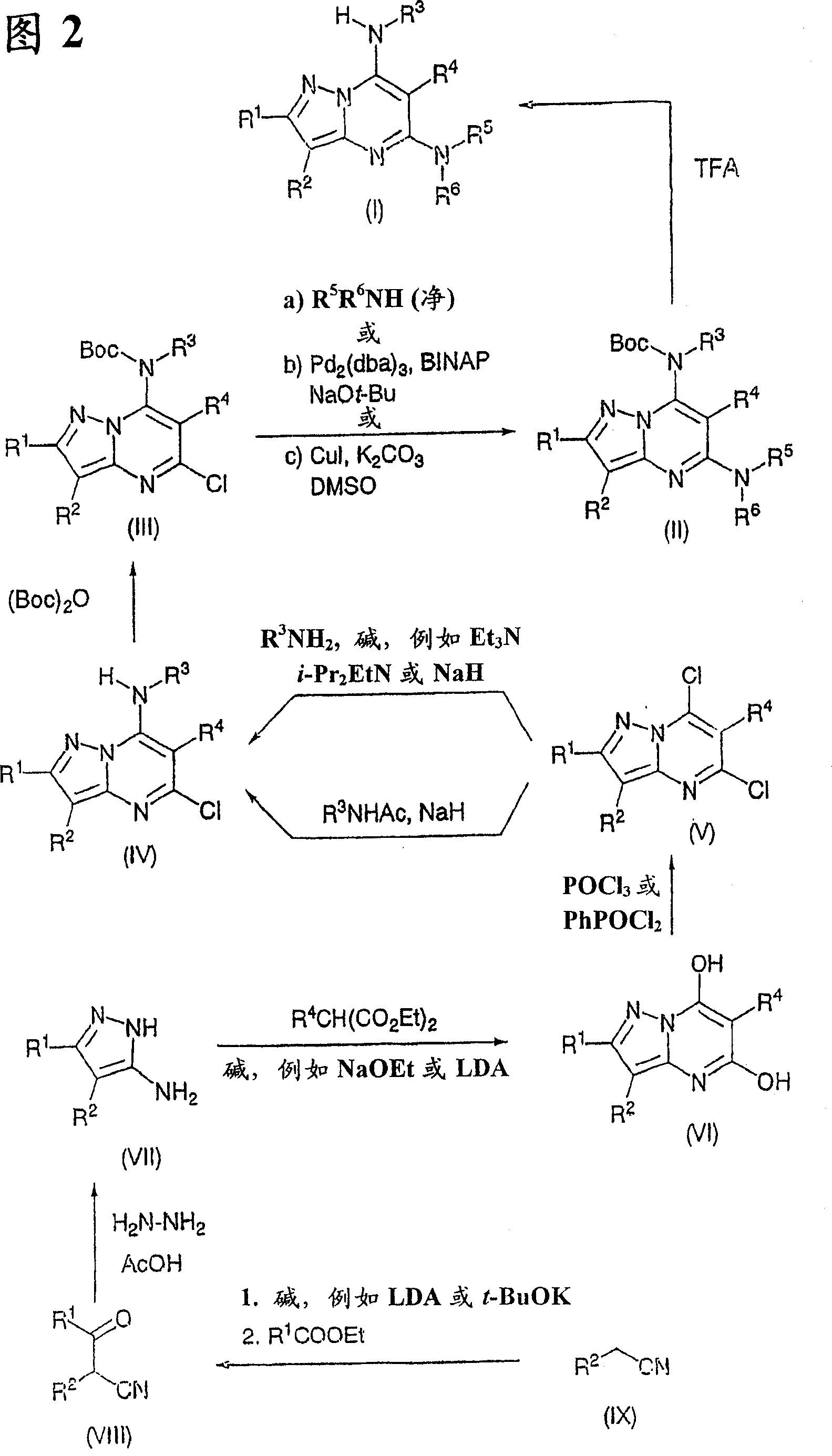 Pyrazolo 1,5-a pyrimidine derivatives