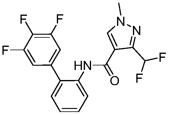 Improved synthesis technology of 3,4,5-trifluorophenol