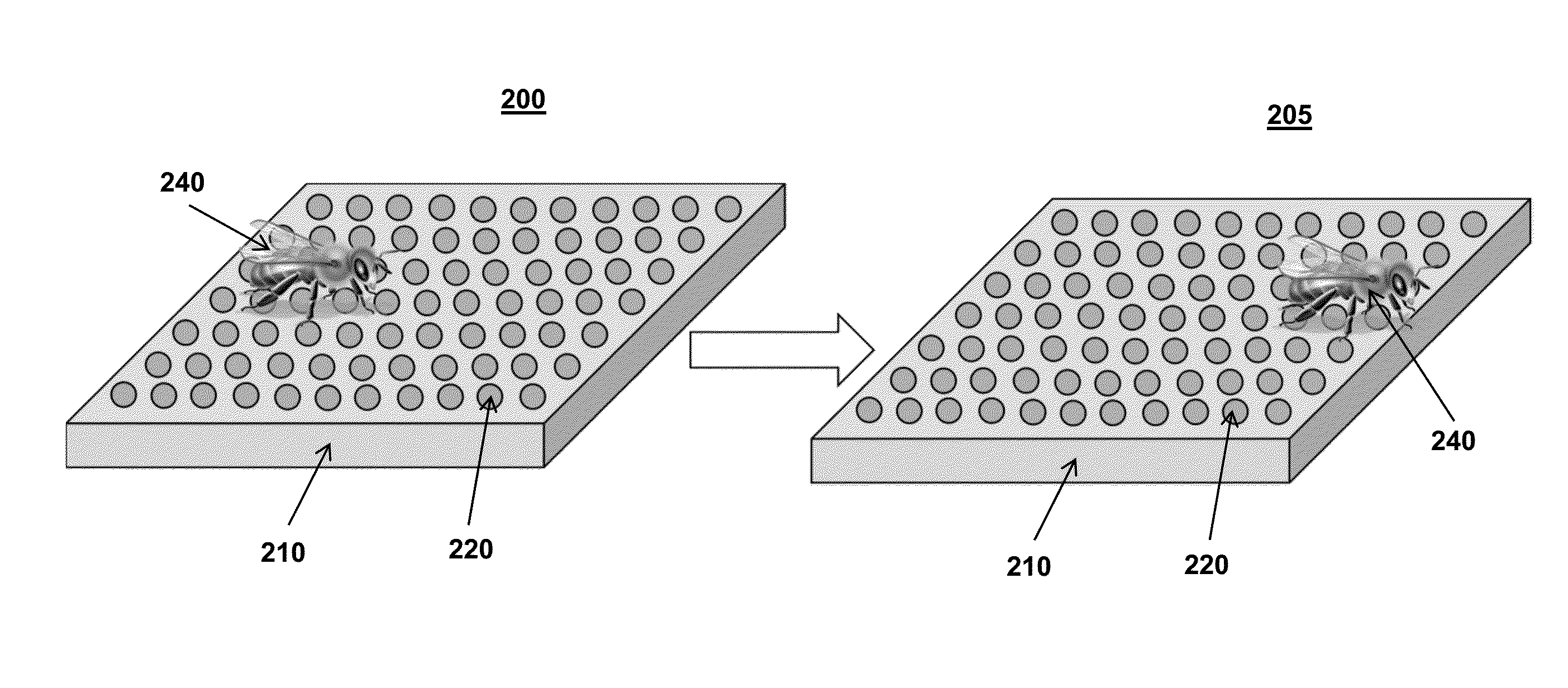 Segmented copolymer compositions and coatings incorporating these compositions