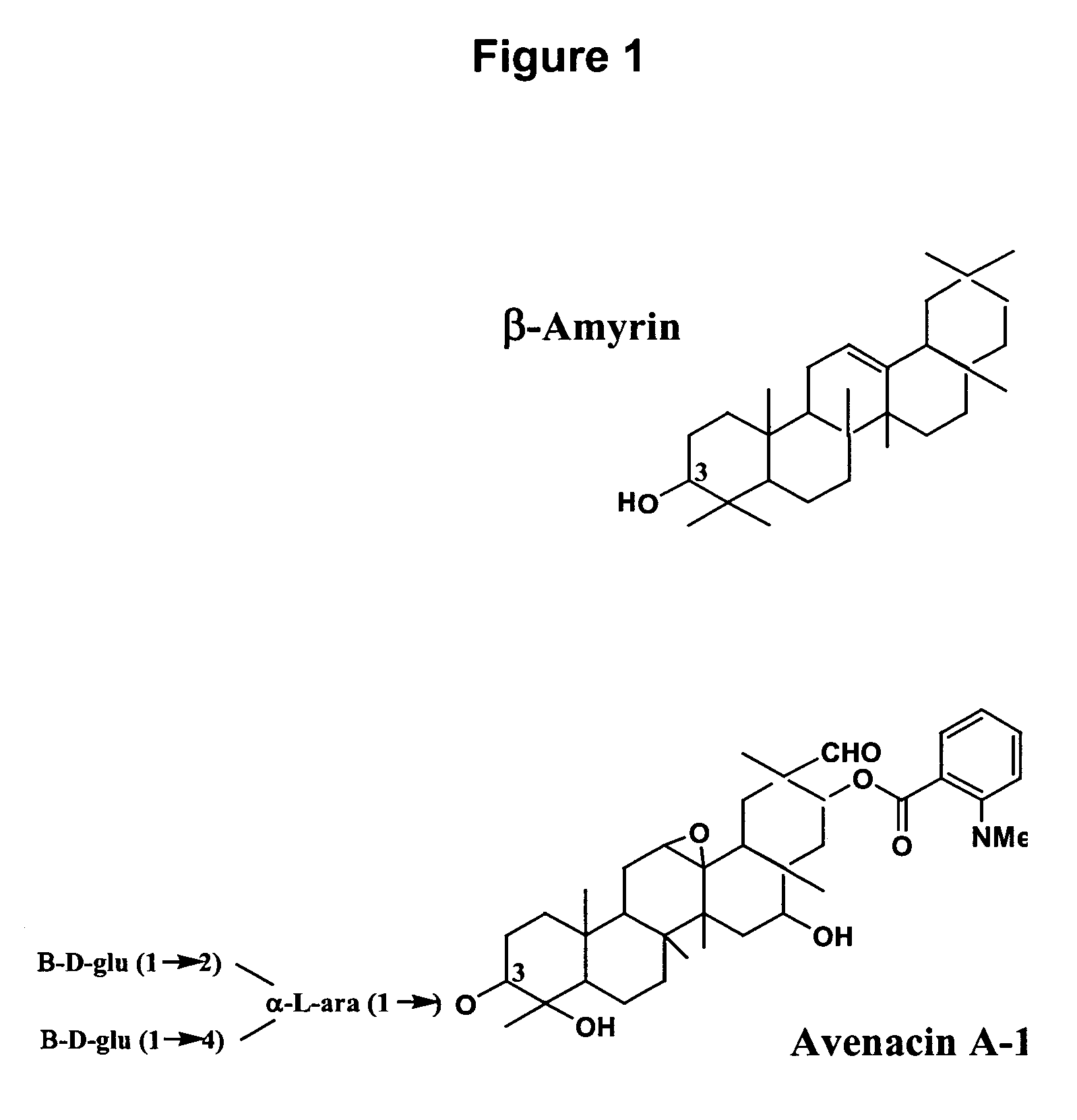 Enzymes involved in triterpene synthesis