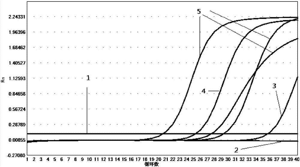 Kit for detecting 10 respiratory tract infection pathogens and application method thereof