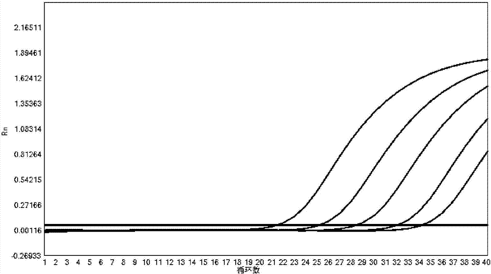 Kit for detecting 10 respiratory tract infection pathogens and application method thereof