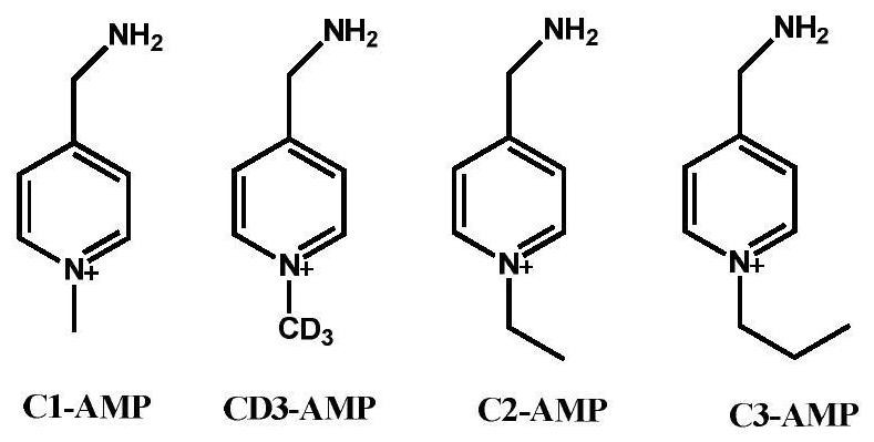 A marker, its preparation method, labeling method and application