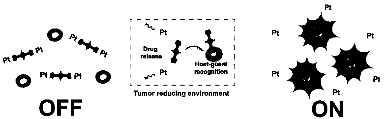 Novel diagnosis and treatment type nano-drug based on molecular shuttle