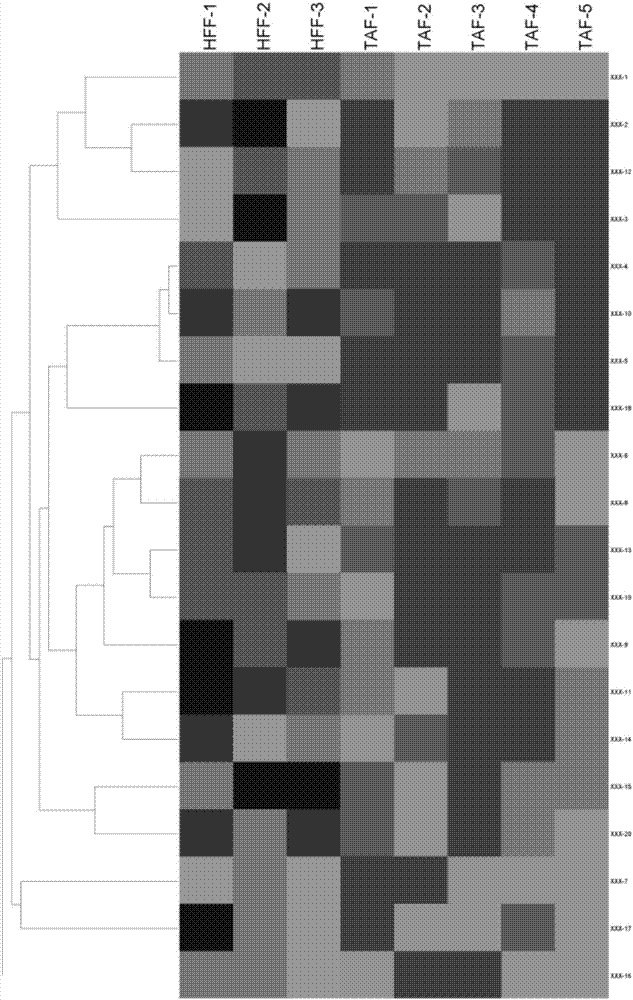 Method for establishing liver cancer xenograft tumor model based on liver cancer circulating tumor cell biological gel hanging-drop culture technology