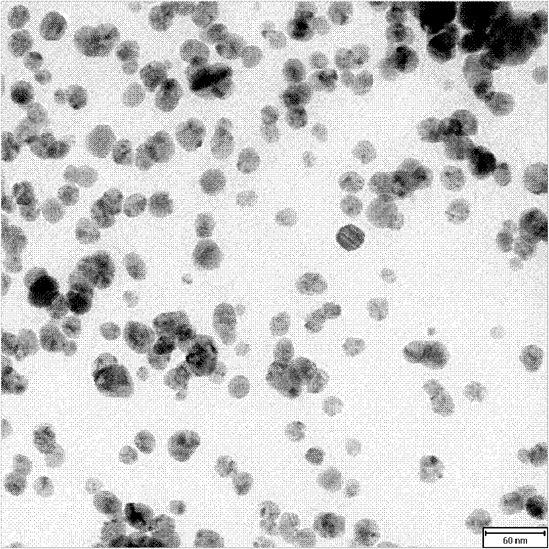 Preparation method of graphene-silver nano particle composite material