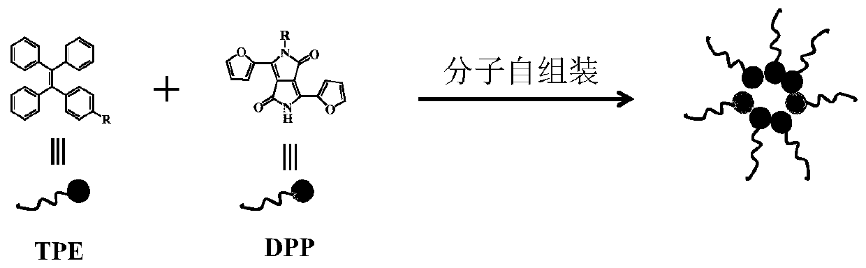 Multifunctional Organic Fluorescent Nanoparticles Based on Diketopyrrolopyrrole Compounds and Tetraphenylethylene Compounds and Their Preparation and Application