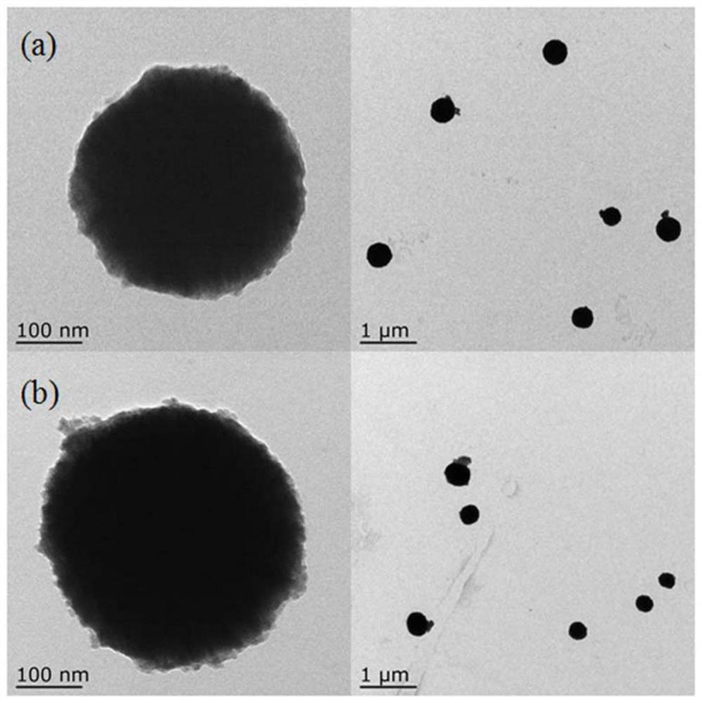 Magnetic multi-sensibilization sensor for aflatoxin as well as preparation and application of magnetic multi-sensibilization sensor