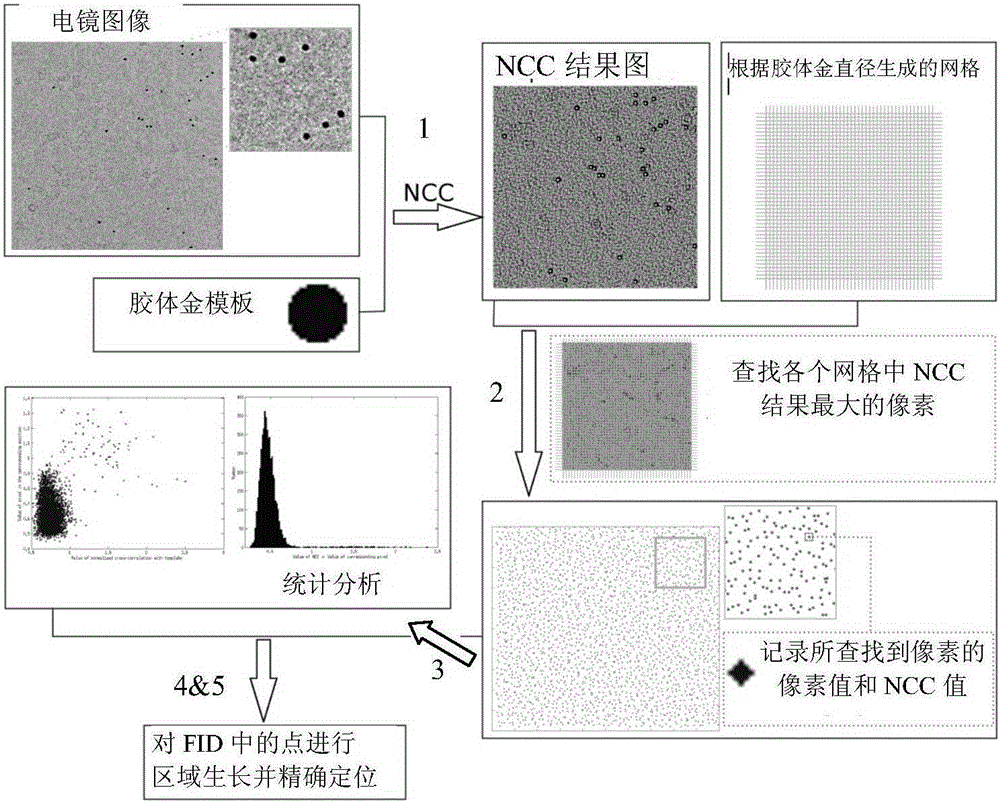 Diameter estimation and automatic identification methods for colloidal gold in electron tomography image