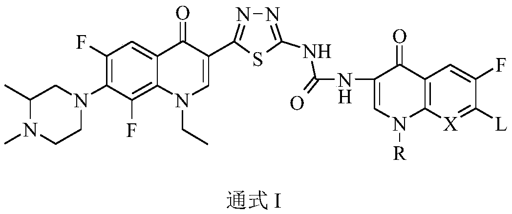 Preparation and application of bis-fluoroquinolone thiadiazole urea N-methyl lomefloxacin derivatives