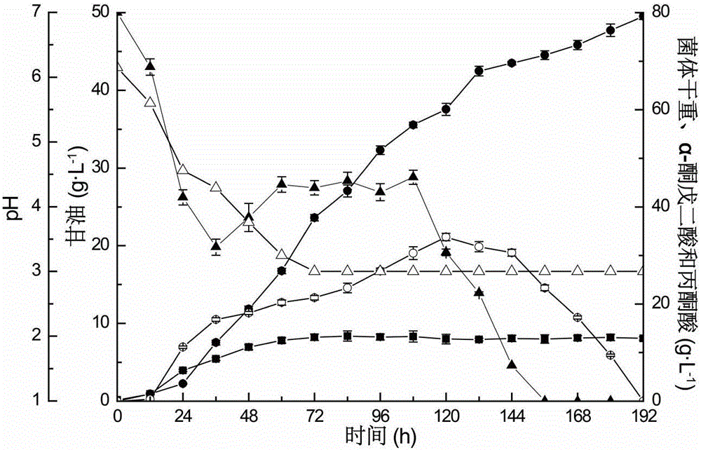 Fermenting method for joint production of alpha-ketoglutaric acid and pyruvic acid