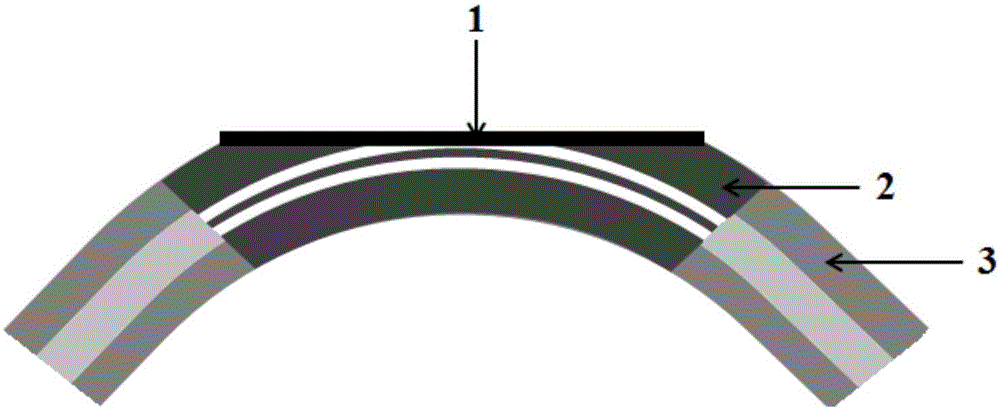 Phase-detection optical fiber SPR (Surface Plasmon Resonance) biochemical sensing system