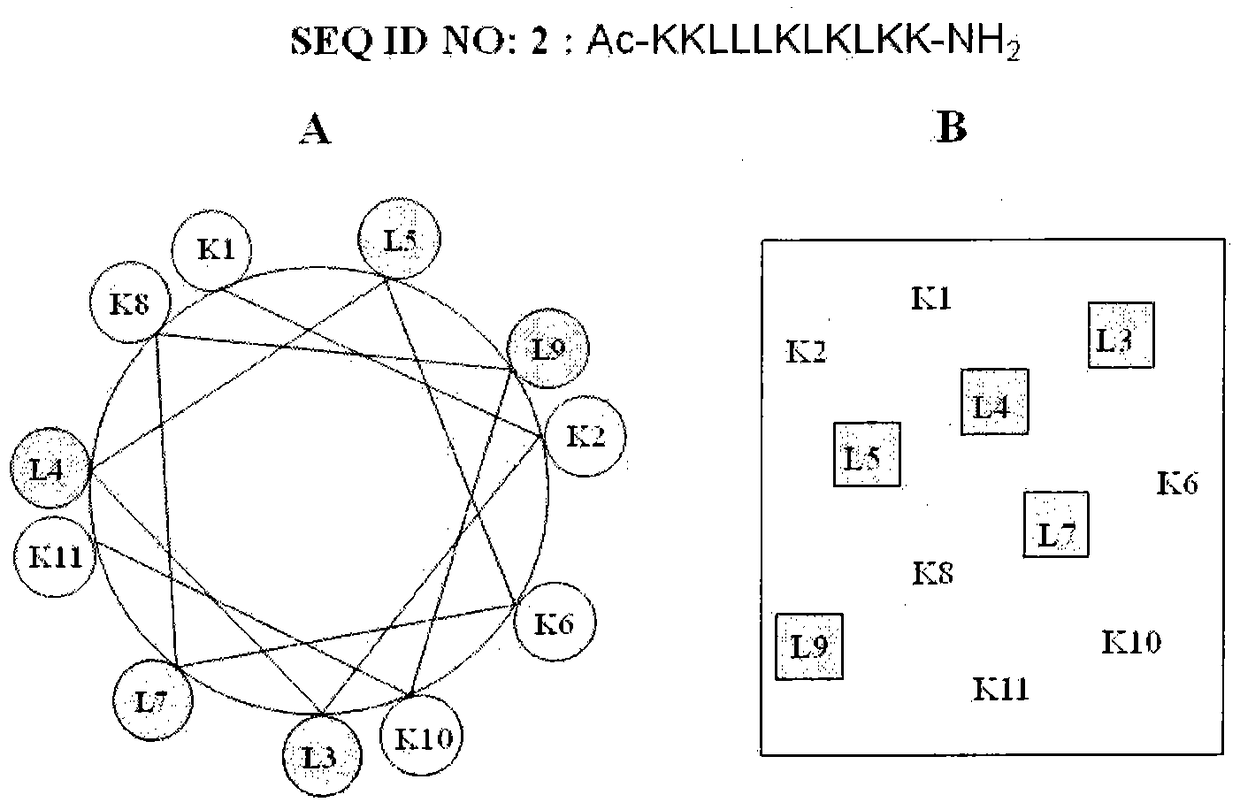 A kind of antimicrobial peptide and its application