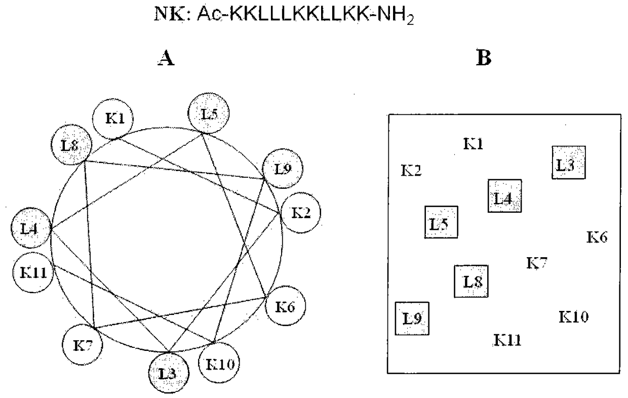 A kind of antimicrobial peptide and its application