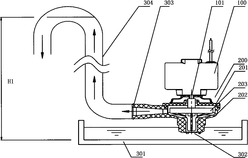 Direct current brushless motor and draining pump
