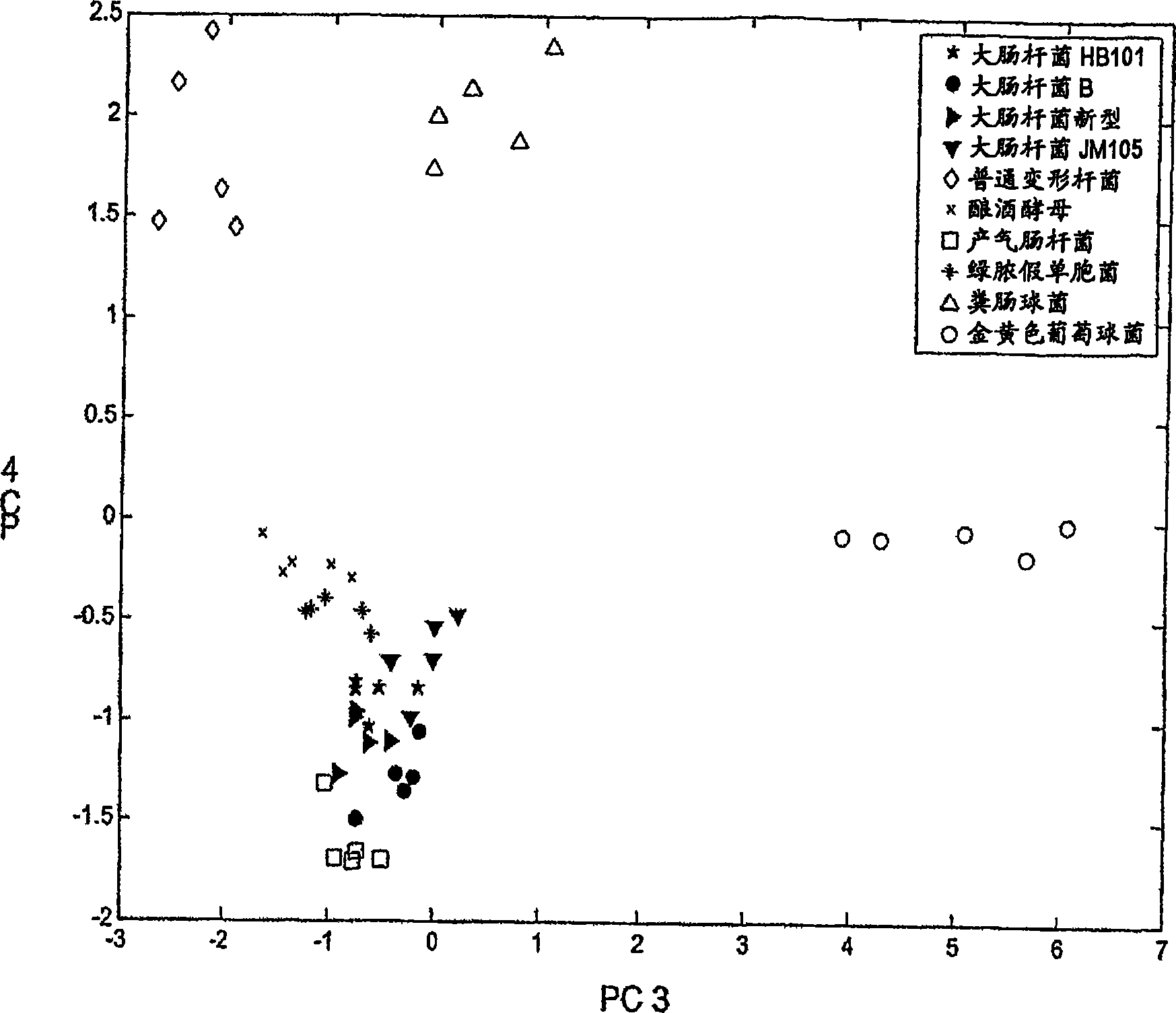 Assay for the identification of microorganisms