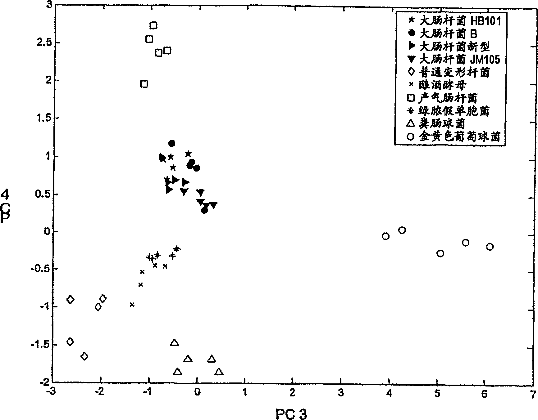 Assay for the identification of microorganisms