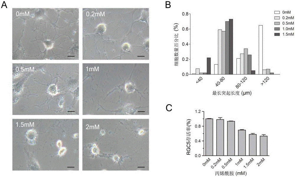 A type Ⅱ adeno-associated virus carrying neuritin gene and its application in repairing optic nerve damage