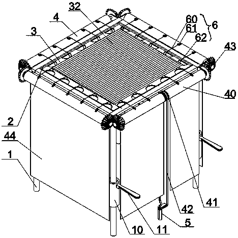 Large-area soil culture method of dracaena sanderiana and culture equipment